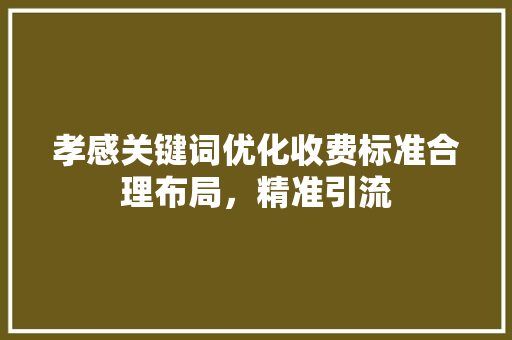 孝感关键词优化收费标准合理布局，精准引流