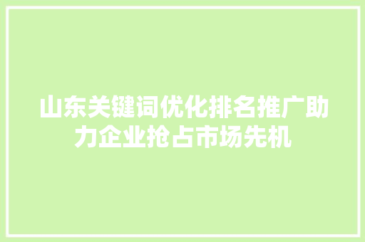 山东关键词优化排名推广助力企业抢占市场先机