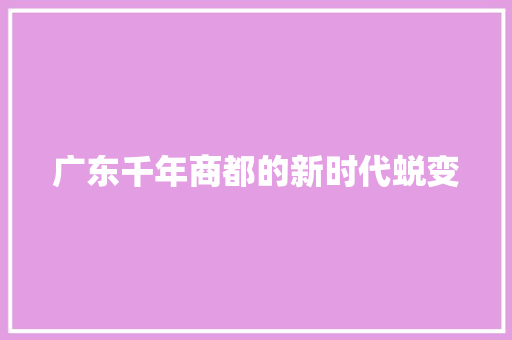 广东千年商都的新时代蜕变