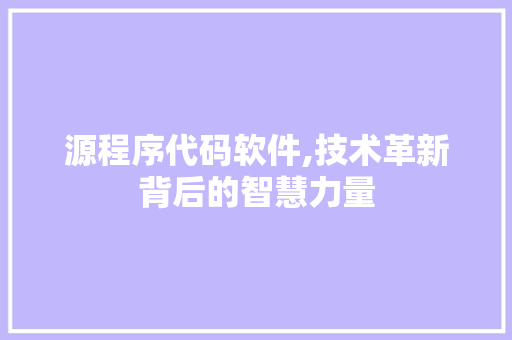 源程序代码软件,技术革新背后的智慧力量
