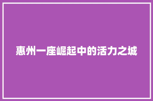 惠州一座崛起中的活力之城