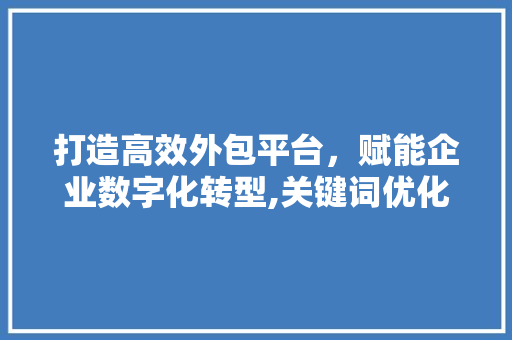 打造高效外包平台，赋能企业数字化转型,关键词优化步骤探析 360搜优化