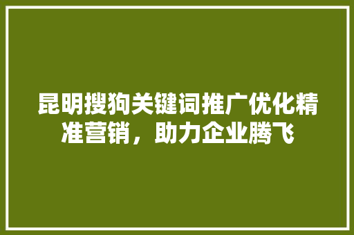 昆明搜狗关键词推广优化精准营销，助力企业腾飞