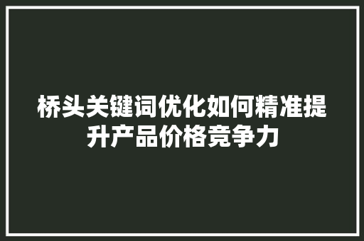 桥头关键词优化如何精准提升产品价格竞争力