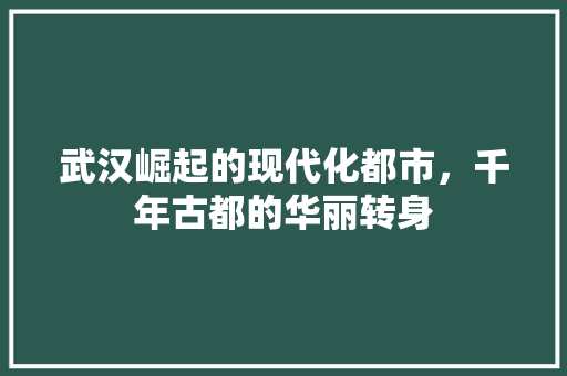 武汉崛起的现代化都市，千年古都的华丽转身