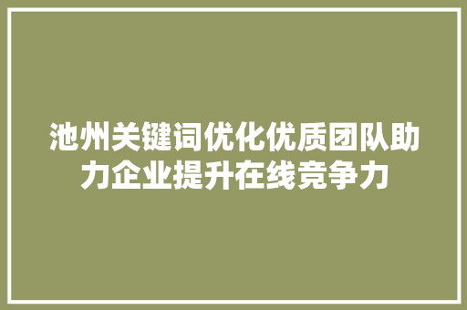池州关键词优化优质团队助力企业提升在线竞争力