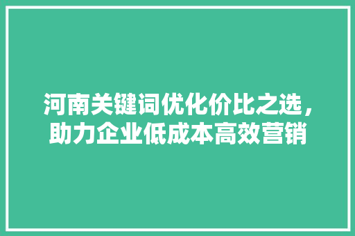 河南关键词优化价比之选，助力企业低成本高效营销 360搜优化