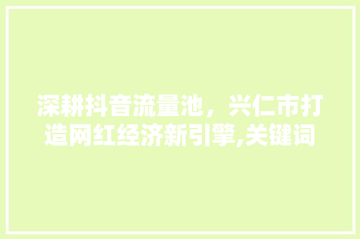 深耕抖音流量池，兴仁市打造网红经济新引擎,关键词优化步骤与方法 搜狗优化