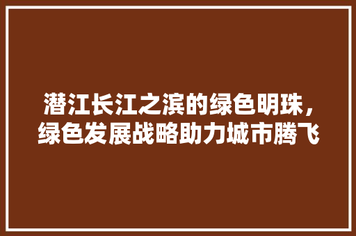 潜江长江之滨的绿色明珠，绿色发展战略助力城市腾飞