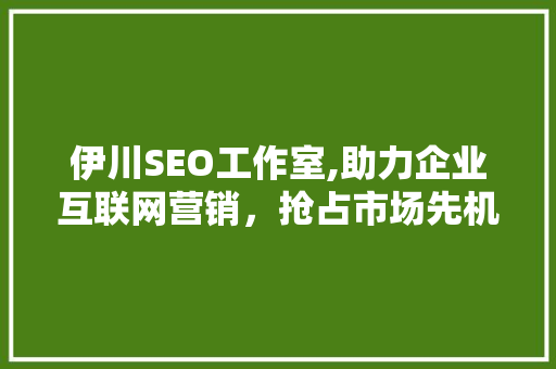 伊川SEO工作室,助力企业互联网营销，抢占市场先机