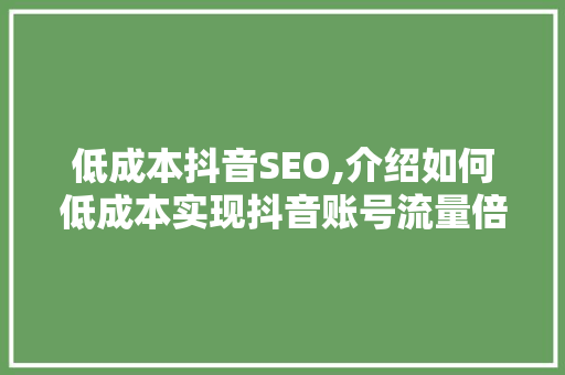 低成本抖音SEO,介绍如何低成本实现抖音账号流量倍增