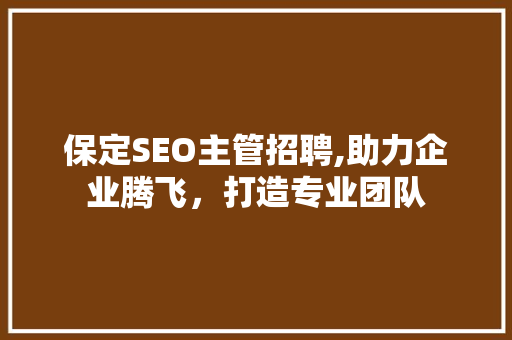 保定SEO主管招聘,助力企业腾飞，打造专业团队