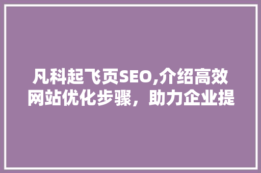 凡科起飞页SEO,介绍高效网站优化步骤，助力企业提升在线竞争力