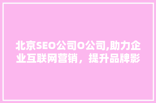 北京SEO公司O公司,助力企业互联网营销，提升品牌影响力