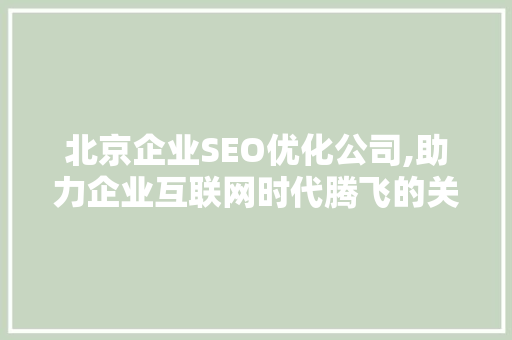 北京企业SEO优化公司,助力企业互联网时代腾飞的关键步骤