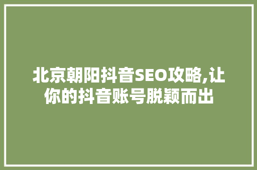 北京朝阳抖音SEO攻略,让你的抖音账号脱颖而出