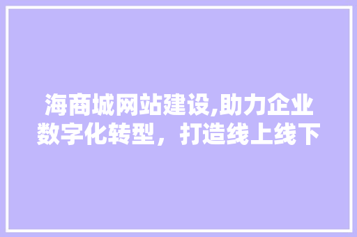海商城网站建设,助力企业数字化转型，打造线上线下融合新格局
