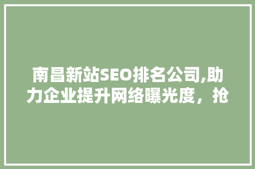 南昌新站SEO排名公司,助力企业提升网络曝光度，抢占市场先机