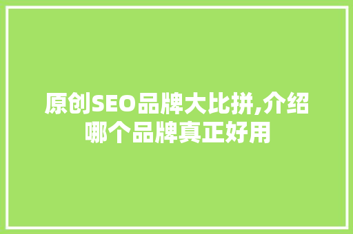 原创SEO品牌大比拼,介绍哪个品牌真正好用