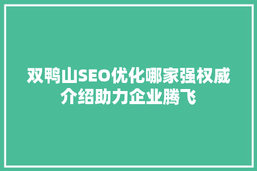 双鸭山SEO优化哪家强权威介绍助力企业腾飞 360搜优化