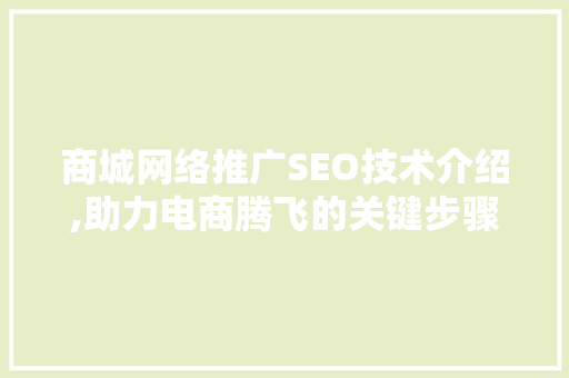 商城网络推广SEO技术介绍,助力电商腾飞的关键步骤