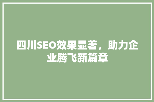 四川SEO效果显著，助力企业腾飞新篇章