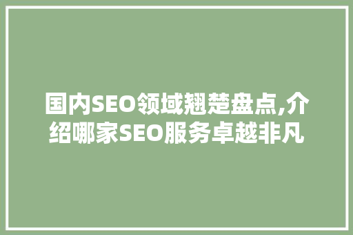 国内SEO领域翘楚盘点,介绍哪家SEO服务卓越非凡