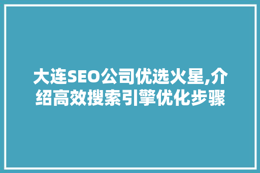 大连SEO公司优选火星,介绍高效搜索引擎优化步骤 网站优化
