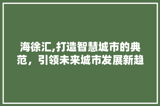 海徐汇,打造智慧城市的典范，引领未来城市发展新趋势 海徐汇,打造智慧城市的典范，引领未来城市发展新趋势 seo技术
