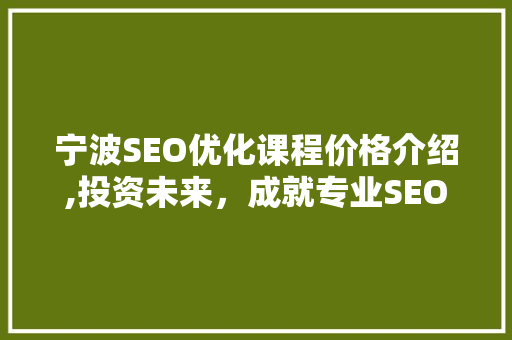 宁波SEO优化课程价格介绍,投资未来，成就专业SEO高手