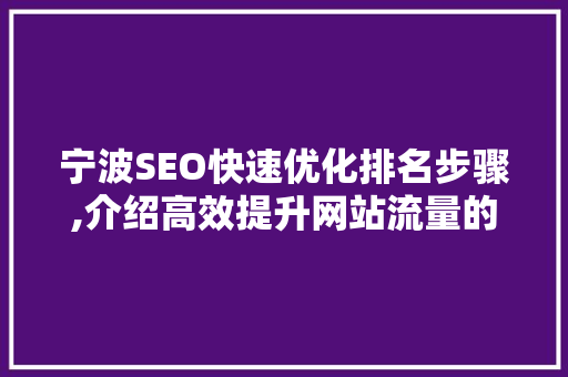 宁波SEO快速优化排名步骤,介绍高效提升网站流量的方法 网站开发