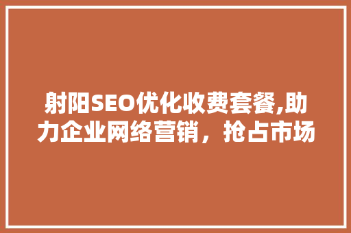 射阳SEO优化收费套餐,助力企业网络营销，抢占市场份额 网站开发