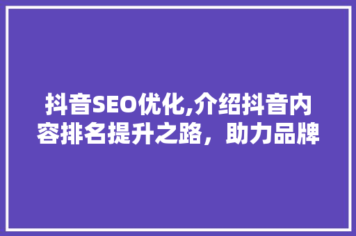 抖音SEO优化,介绍抖音内容排名提升之路，助力品牌传播新高度