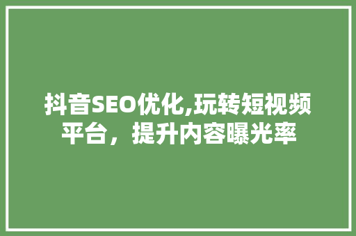 抖音SEO优化,玩转短视频平台，提升内容曝光率