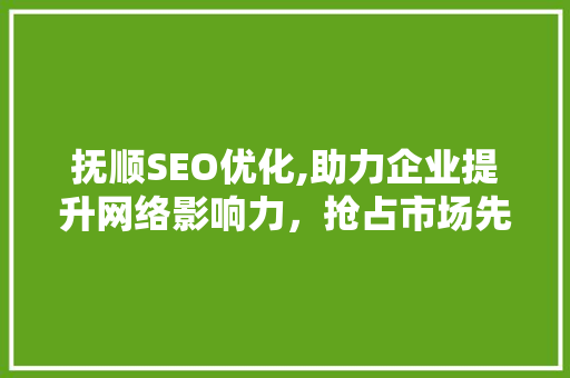 抚顺SEO优化,助力企业提升网络影响力，抢占市场先机