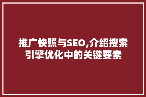 推广快照与SEO,介绍搜索引擎优化中的关键要素