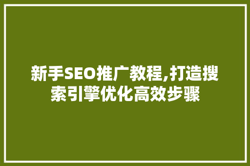 新手SEO推广教程,打造搜索引擎优化高效步骤