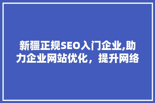 新疆正规SEO入门企业,助力企业网站优化，提升网络竞争力
