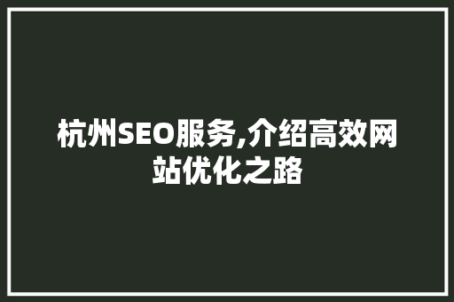 杭州SEO服务,介绍高效网站优化之路