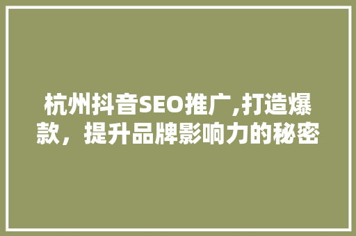 杭州抖音SEO推广,打造爆款，提升品牌影响力的秘密武器 360搜优化
