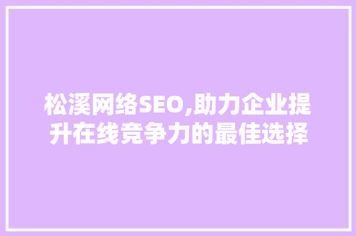 松溪网络SEO,助力企业提升在线竞争力的最佳选择