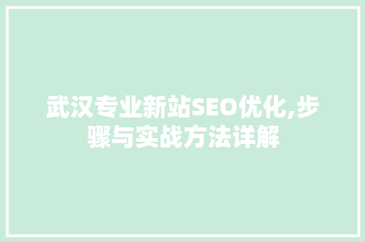 武汉专业新站SEO优化,步骤与实战方法详解