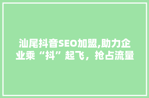 汕尾抖音SEO加盟,助力企业乘“抖”起飞，抢占流量高地