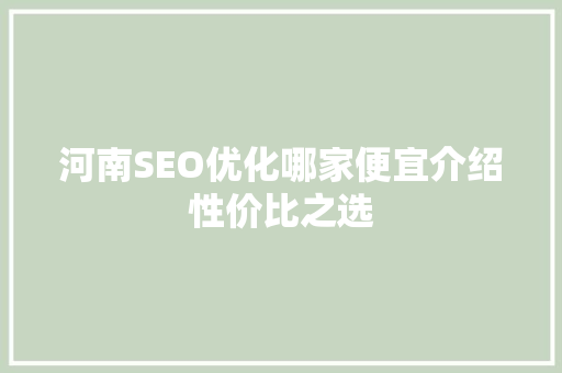 河南SEO优化哪家便宜介绍性价比之选