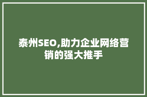 泰州SEO,助力企业网络营销的强大推手