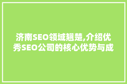 济南SEO领域翘楚,介绍优秀SEO公司的核心优势与成功方法 网站优化