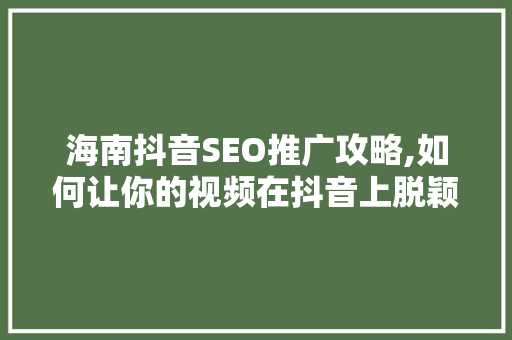 海南抖音SEO推广攻略,如何让你的视频在抖音上脱颖而出