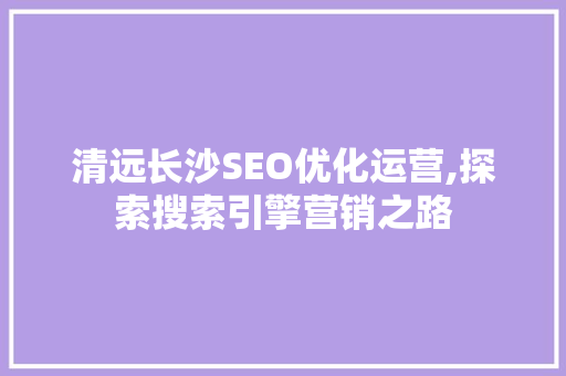 清远长沙SEO优化运营,探索搜索引擎营销之路