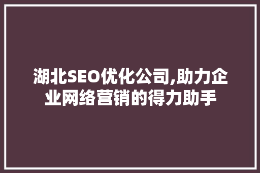 湖北SEO优化公司,助力企业网络营销的得力助手