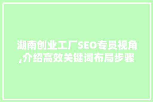 湖南创业工厂SEO专员视角,介绍高效关键词布局步骤